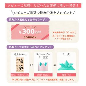 雛人形 ひな人形 コンパクト おしゃれ お雛様...の詳細画像1
