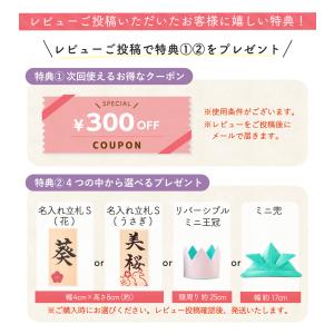 雛人形 コンパクト モダン 新作 2026年 ...の詳細画像1