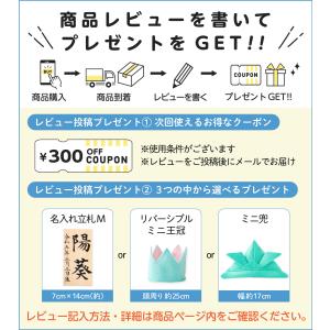 鯉のぼり 室内用 おしゃれ コンパクト こいの...の詳細画像1