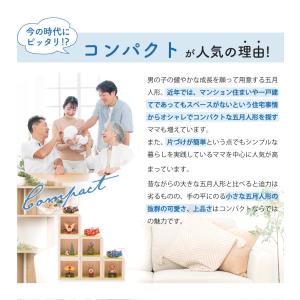 五月人形 コンパクト 鯉のぼり こいのぼり ち...の詳細画像5