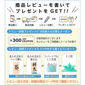 鯉のぼり 室内用 おしゃれ コンパクト こいの...の詳細画像1