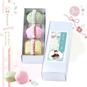 新商品 最中 味噌汁 もなか 味くらべ お返し...の詳細画像3