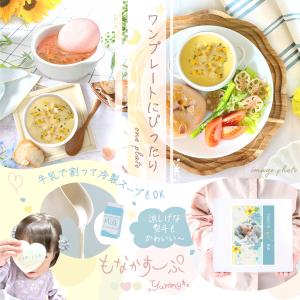 新商品 スープ 出産内祝い 名入れ もなか 最...の詳細画像4