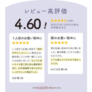 お食い初め 食器セット 初膳 二の膳 日本製の詳細画像2