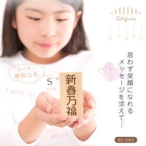 五月人形 端午の節句 木札 名前旗 雛人形 レ...の詳細画像1