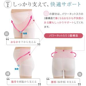 腹帯 妊婦帯 マタニティ 妊婦 犬印 犬印本舗...の詳細画像3