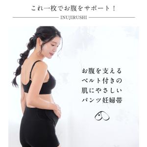 腹帯 妊婦帯 パンツ マタニティ 妊婦 犬印 ...の詳細画像1