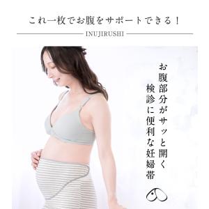 腹帯 妊婦帯 マタニティ 妊婦 犬印 犬印本舗...の詳細画像1