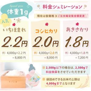 コシヒカリ令和7年度産 体重米 出産内祝い お...の詳細画像4