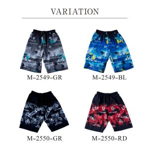 新作 サーフパンツ メンズ 水着 サーフ 海パ...の詳細画像1