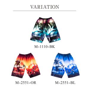 新作 サーフパンツ メンズ 水着 サーフ 海パ...の詳細画像1