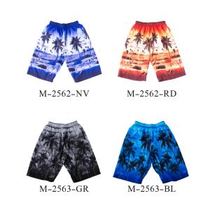 新作 サーフパンツ メンズ 水着 サーフ 海パ...の詳細画像3