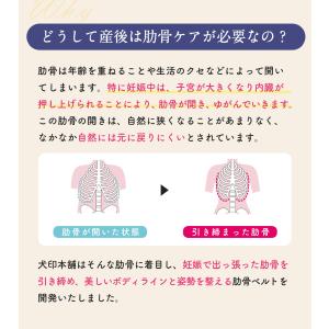 肋骨ベルト 産後 美ボディメイク ダイエット ...の詳細画像3