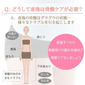 犬印 骨盤ベルト 犬印本舗 マタニティ 産後 骨盤ケアベルト N 3810 ウエストニッパー 矯正 メール便送料無料 Epsi Rating Com