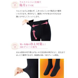 マタニティ タイツ 妊婦 犬印 犬印本舗 スト...の詳細画像3