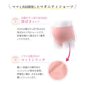 犬印本舗 犬印 産前 マタニティ 妊婦 ショー...の詳細画像3