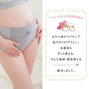 マタニティショーツ 犬印 犬印本舗 SH246...の詳細画像3