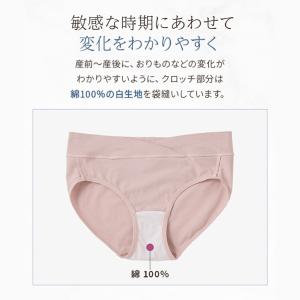 マタニティ ショーツ パンツ 犬印 犬印本舗 ...の詳細画像5