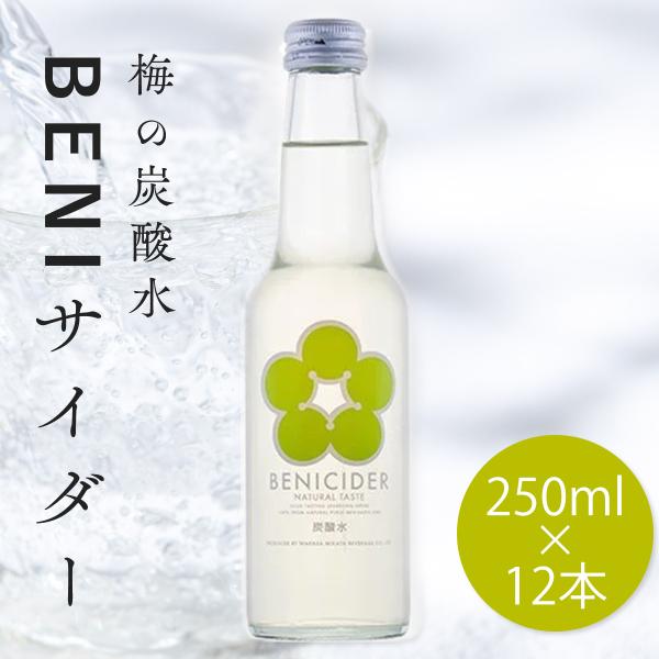 新発売 梅 サイダー うめ 炭酸飲料 飲料 微炭酸 母の日 お中元 無添加 天然梅果汁入【BENIサ...