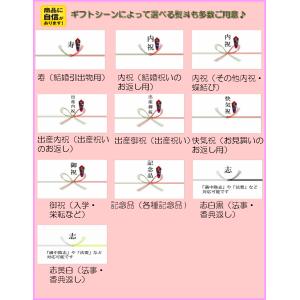 カタログギフト 47都道府県 日本の贈り物 中...の詳細画像4