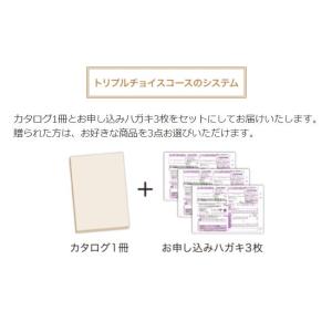 カタログギフト テイクユアチョイス アマリリス...の詳細画像1