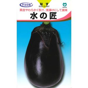 ナス苗 水の匠 接木苗の詳細画像2