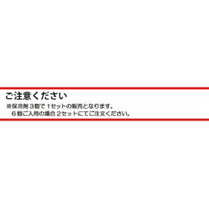 こども用 熱中症対策グッズ 冷却ベスト アイス...の詳細画像2
