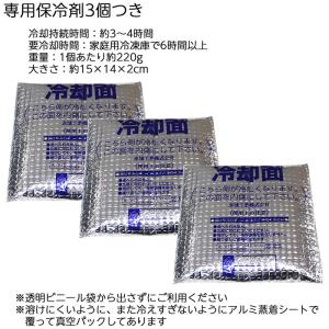 冷却ベスト アイスハーネス スタンダード 保冷...の詳細画像5