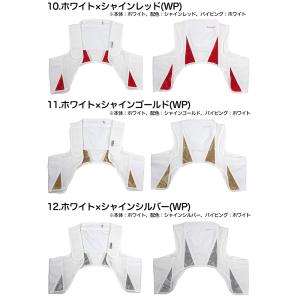 スタイリッシュな冷却ベスト アイスハーネス ス...の詳細画像5