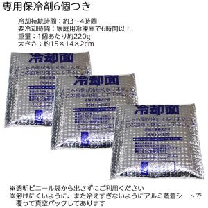 冷却ベスト アイスハーネス スタンダード 保冷...の詳細画像5