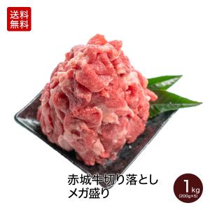 肉 お肉 牛肉 国産 ギフト 赤城牛 切り落とし メガ盛り 1kg 200g×5パック すき焼き しゃぶしゃぶ 焼肉 焼き肉 送料無料 冷凍 真空パック 小分け