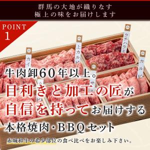 焼肉 用 赤城和牛 本格 バラ焼肉 BBQ セ...の詳細画像3