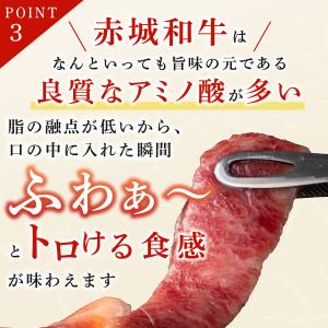 焼肉 用 赤城和牛 本格 バラ焼肉 BBQ セ...の詳細画像5