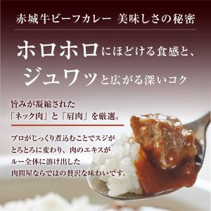 カレー 赤城牛 ビーフカレー 選べる10個 セ...の詳細画像1