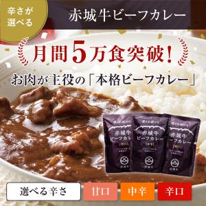カレー 赤城牛 ビーフカレー 選べる10個 セ...の詳細画像2