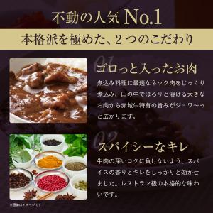 カレー 赤城牛 ビーフカレー 選べる10個 セ...の詳細画像3