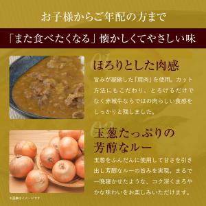 カレー 赤城牛 ビーフカレー 選べる10個 セ...の詳細画像5