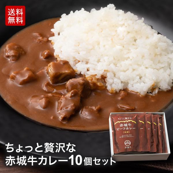 カレー ちょっと贅沢な 赤城牛 ビーフカレー 中辛 180g 10個 セット 常温 国産牛 牛肉 レ...