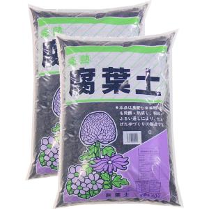 あかぎ園芸 セントポーリアの土 【25L】 : 植える花夢 手作り園芸工房