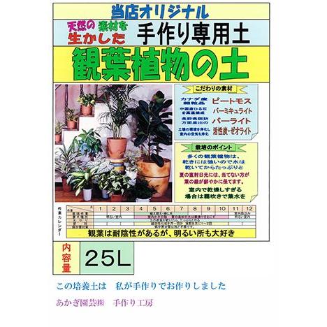 観葉植物の土（草物用）【25L】