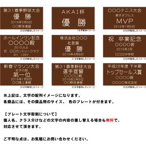 3E-D 一般メダル, (ビニール袋 首掛リボ...の詳細画像3