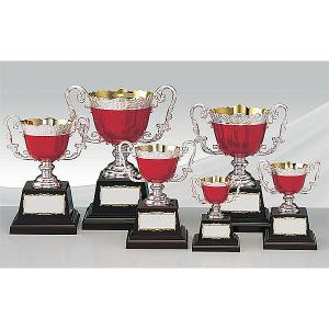 カラーカップ　AC-9361-C ：野球・空手・ゴルフ・サッカー・全ジャンルに優勝杯・優勝カップ