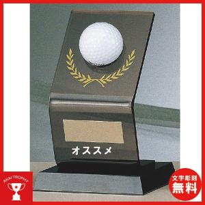 ホールインワン記念　ホールインワントロフィー　B4063：ホールインワンの記念ボールを飾れる記念品