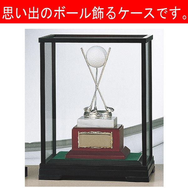 ホールインワン記念　ホールインワントロフィー　B4065：ホールインワンの記念ボールを飾れる記念品