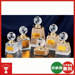 予約商品】 ドジャース 大谷翔平 2025 NL MVP 受賞記念 ゴールドコイン