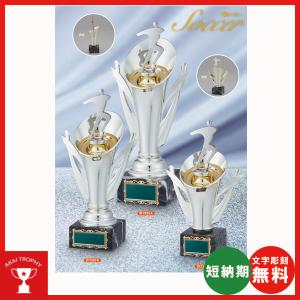 BT2323B：サッカー用ブロンズ　卒業記念品　無料名入れ　卒業記念・サッカー大会オススメのサッカー用ブロンズ