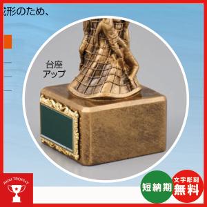 BT2330C:サッカー用ブロンズ 卒業記念品...の詳細画像1