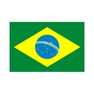 ブラジル国旗90×135cm