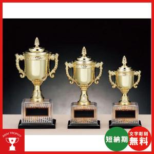 お買い得カップ　CP-167-A：野球・空手・ゴルフ・サッカー・卒業記念・優勝カップ｜akai-tropfy