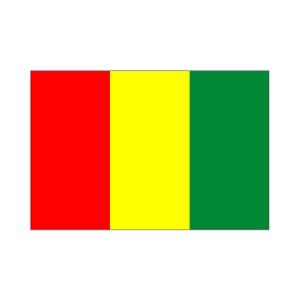 ギニア国旗140×210cm｜akai-tropfy